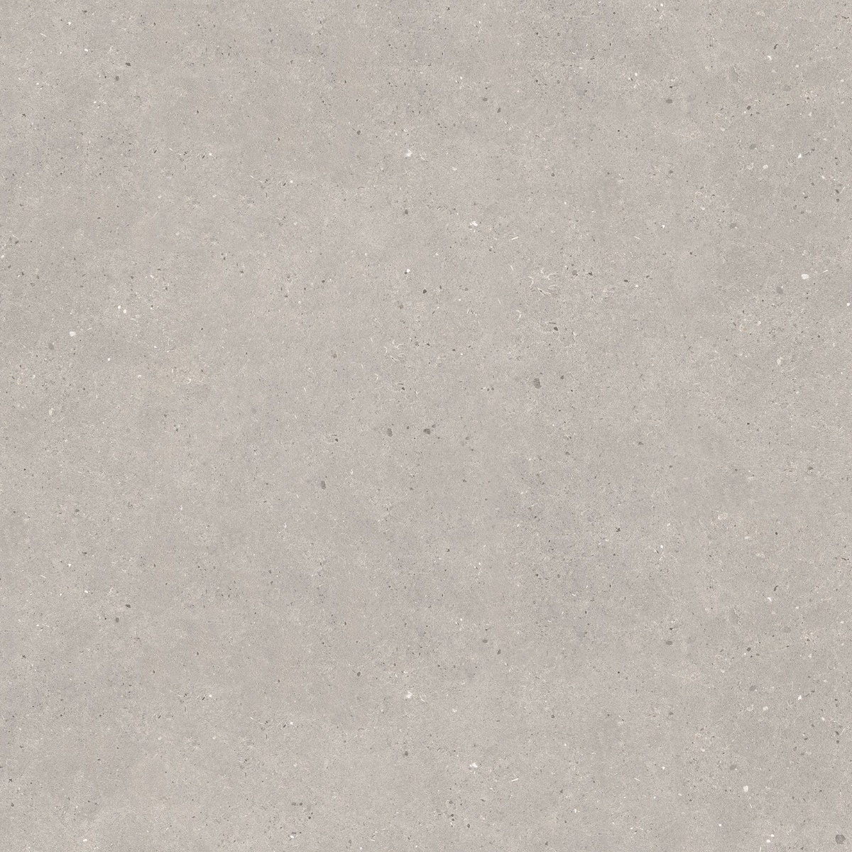 Altantis Grey